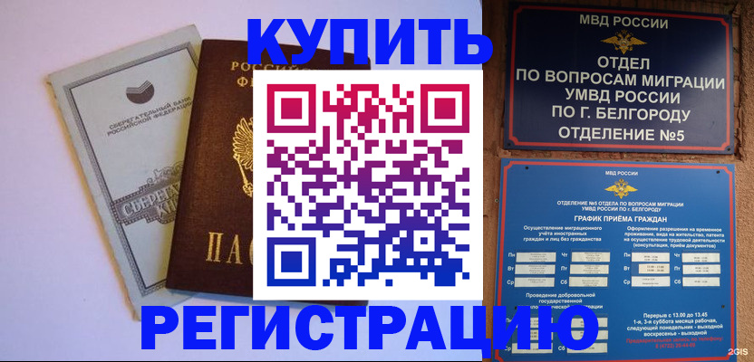 временная прописка в Дальнегорске